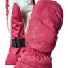 Hestra Womens CZone Powder Mitt